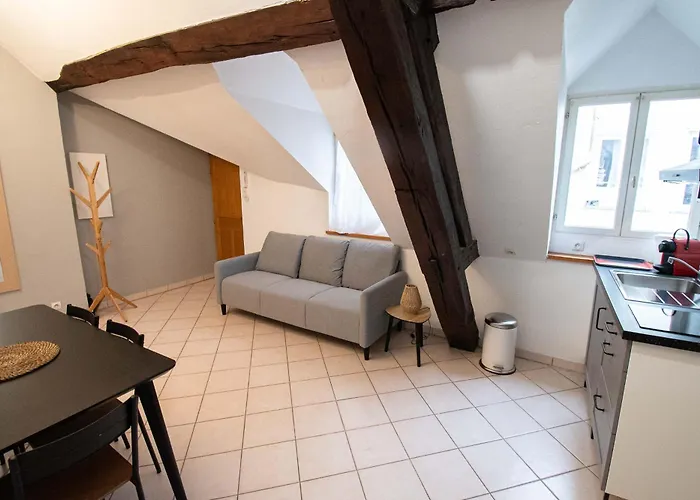 Appartamento Résidence Le Zola Composé De 3 Distincts En Hyper Centre De Avec Wifi Digione