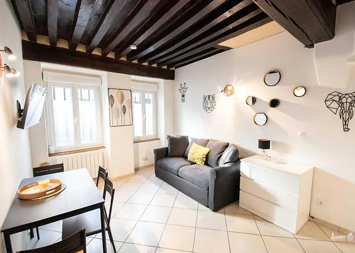 Le Zola Compose De 3 Distincts En Hyper Centre De Avec Wifi *