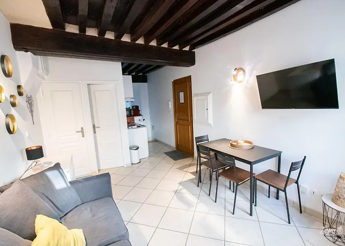 Le Zola Compose De 3 Distincts En Hyper Centre De Avec Wifi Dijon