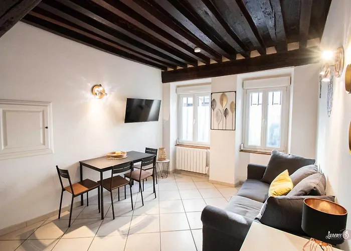 Le Zola Compose De 3 Distincts En Hyper Centre De Avec Wifi Апартаменты Дижон