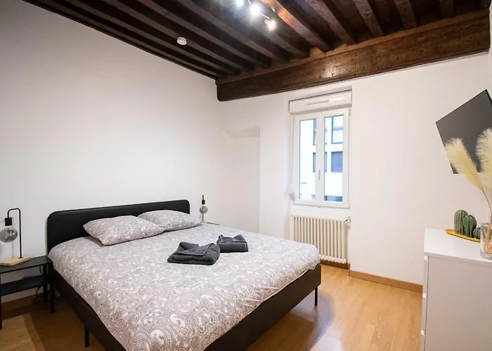 Le Zola Compose De 3 Distincts En Hyper Centre De Avec Wifi Апартаменты